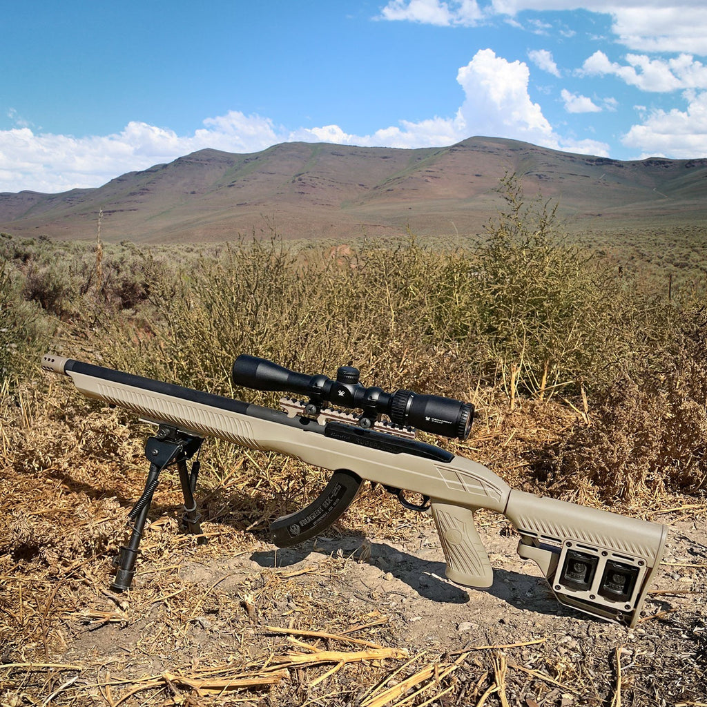 The Ruger 10/22: 7 Distinct Advantages for Firearm Training