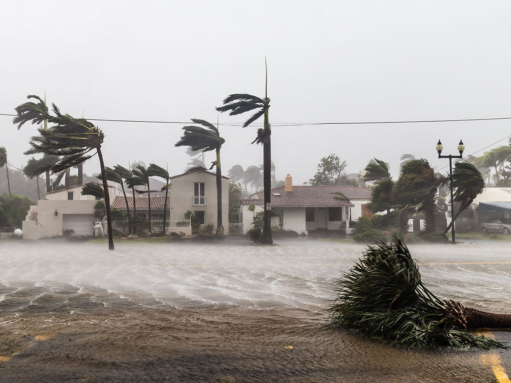 5 Essential Items to Take When Evacuating Your Home During a Natural Disaster