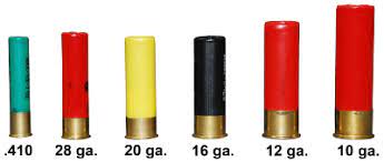 Mastering the Shotgun: A Guide to Popular Gauges
