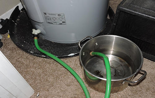 Unconventional Urban Survival: 5 Unexpected Sources of Drinking Water in a Crisis